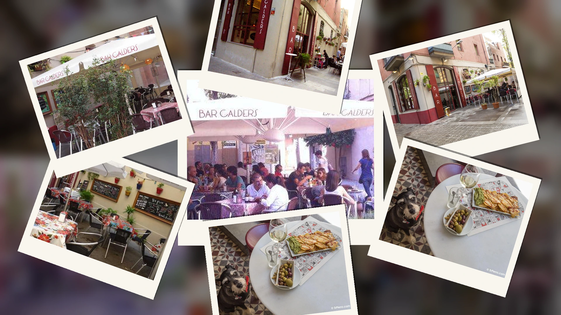 Bar Calders