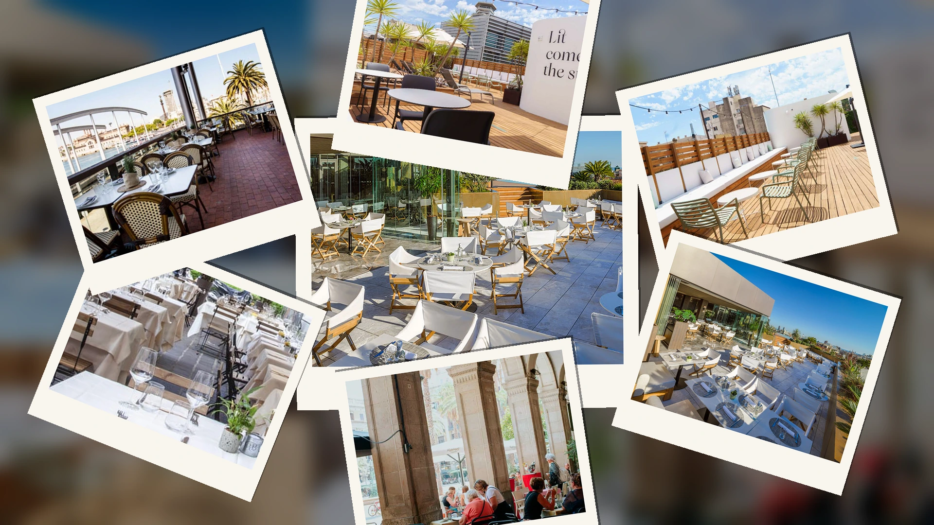 Terraza West Food & Bar
