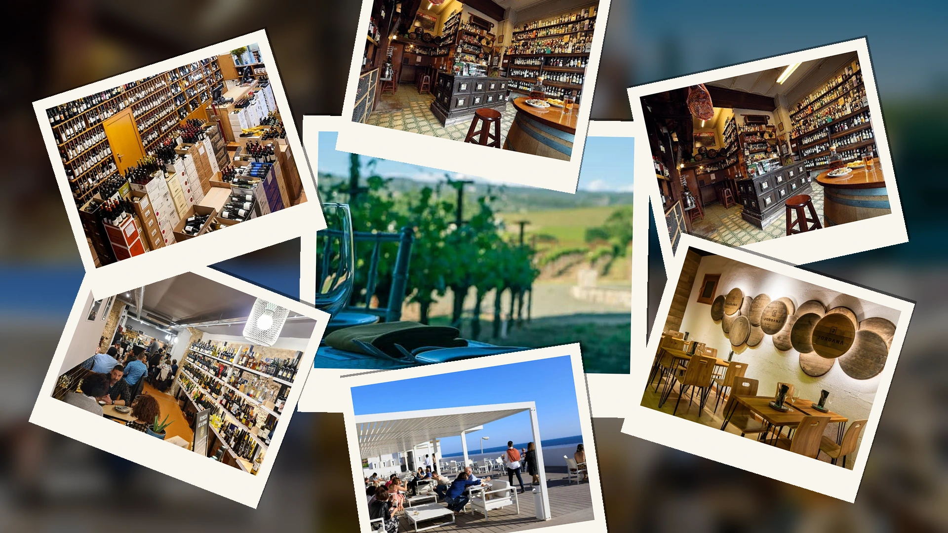 Celler Florida. Wine Shop & Tasting